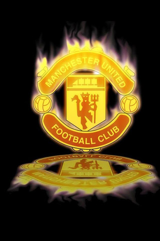 的整体表现 的整体表现