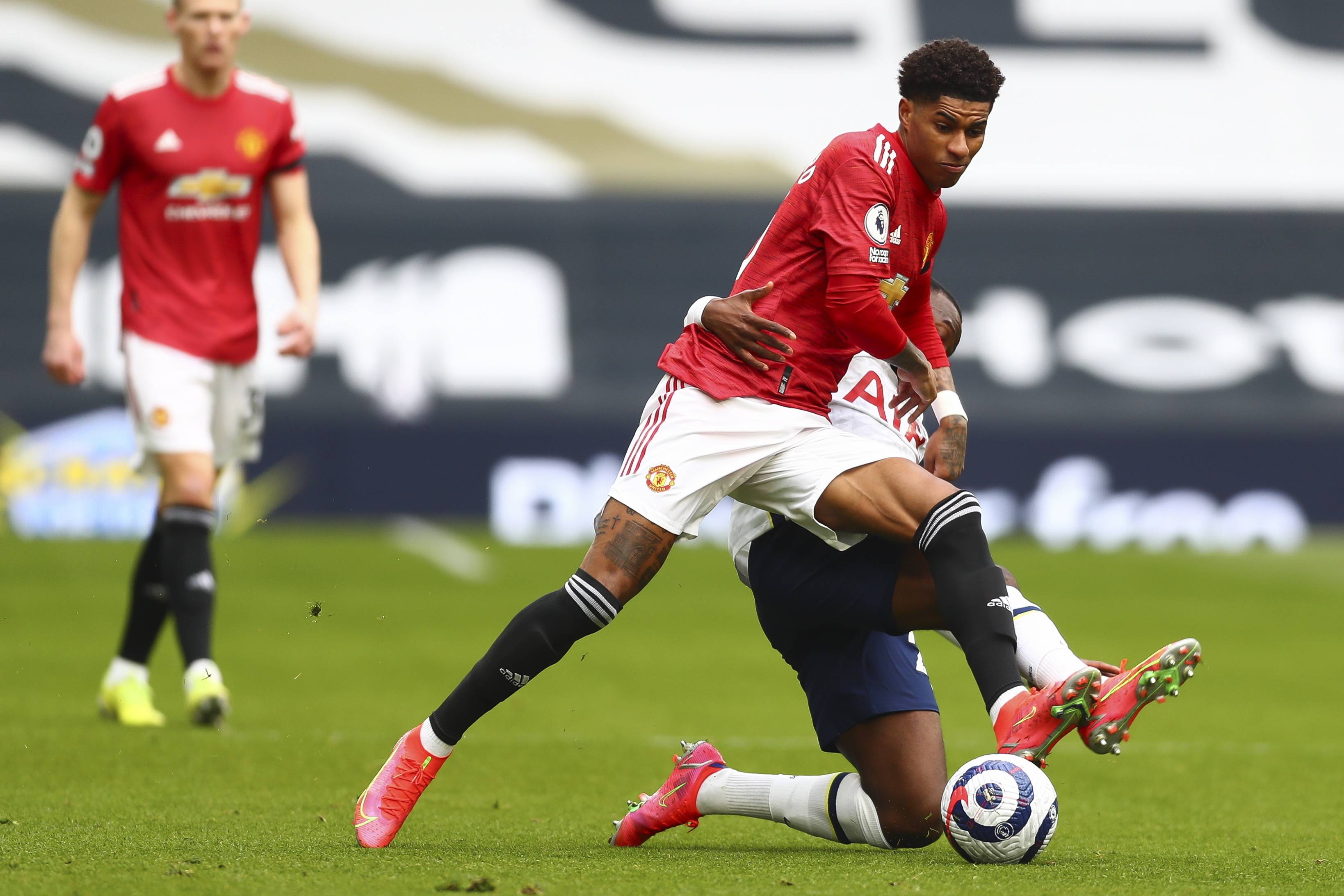 它不仅拥有 它不仅拥有